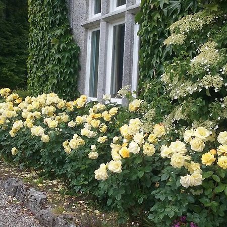 Courtyard Cottage Carlow Eksteriør bilde