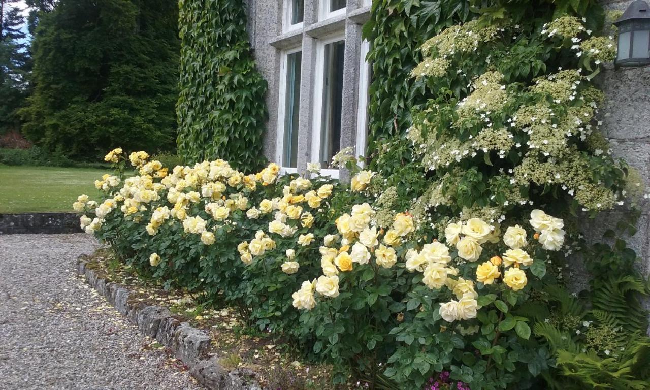 Courtyard Cottage Carlow Eksteriør bilde